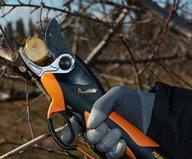 Sécateur arboricole Prunion 150